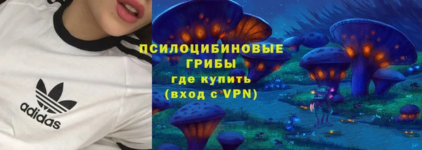 прущие крисы Вязьма