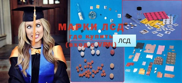 PSILOCYBIN Волосово