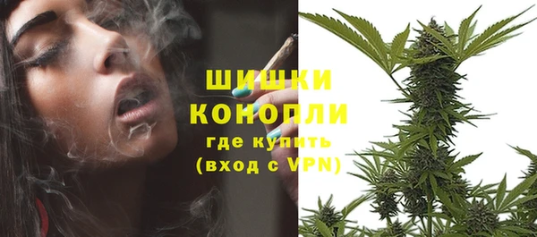 мдпв Вязники