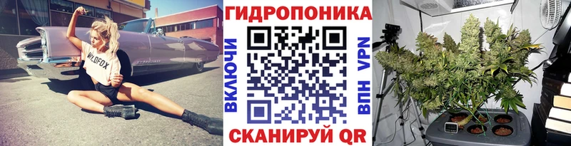 Бошки Шишки MAZAR  Избербаш 